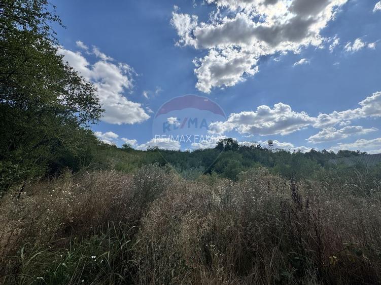 Teren  6.372mp Strs.Piersicilor/Str.Prunilor/Schimb cu Ap 4 camere - 9