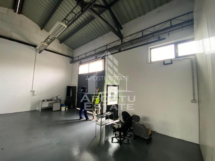 Hala de inchiriat Timisoara - Dambovita, depozitare, service auto - 4