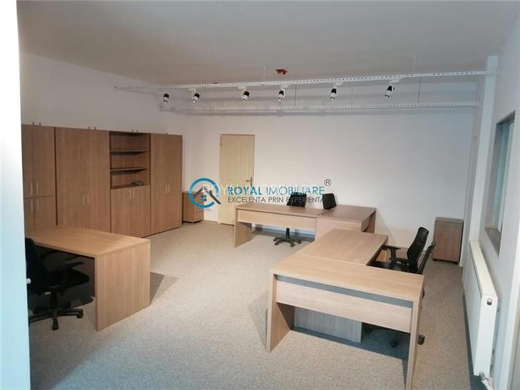 Royal Imobiliare - Vanzare Spatiu de productie Albesti Paleologu - 9