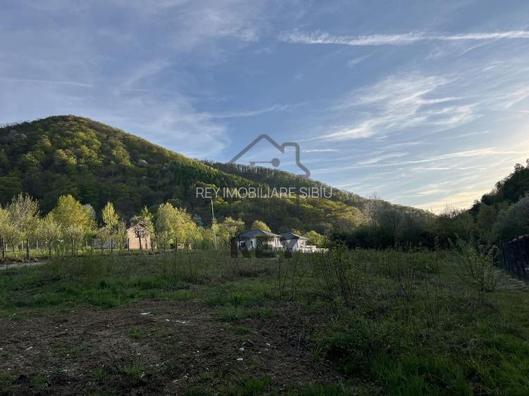 Teren la poalele Cetății Cisnadioarei de vânzare/1250 mp - 2