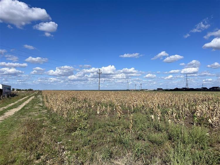 RECO Teren intravilan 1200mp -Livada de Bihor - 4