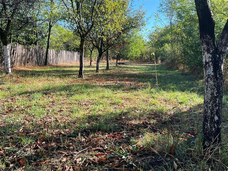 Casa de vanzare in Cocorastii Caplii la 7 KM de Campina - 13