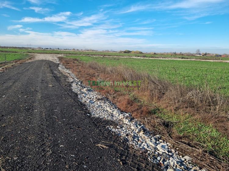 Vânzare loturi rezidențiale Popești-Leordeni/Frumușani - 18