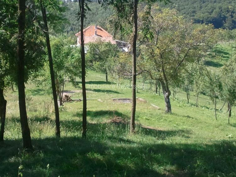 Teren livadă cu panoramă superbă Dealul Malului pentru casă sau cabană - 7