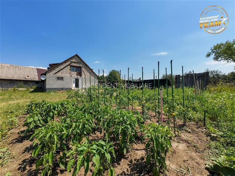 FILM! Rezidential/ Spatiu comercial consacrat + teren intravilan, Fotos, Covasna - 5