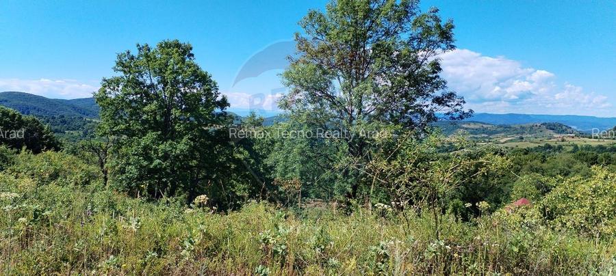 Teren 3,871mp Varmaga / None - 2