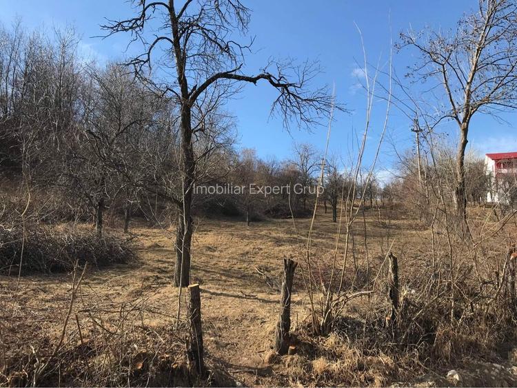 Teren Breaza 4400 mp - 2