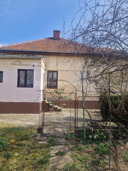 Situata pe frumoasa strada Maslinului in zona Blascovici, - 12