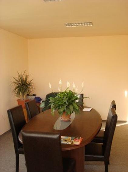 Hala cu dotari, afacere cu clienti, birouri-vestiare, teren, E60, langa Oradea