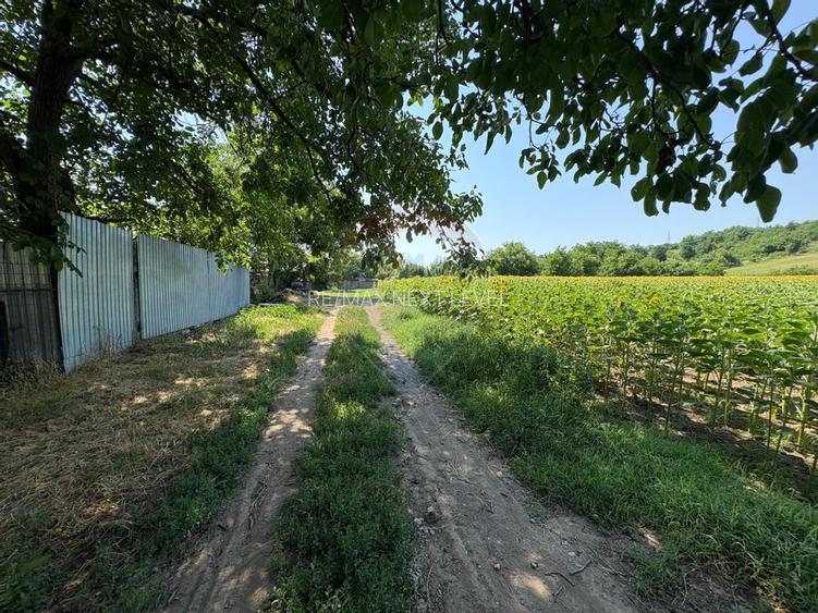 Teren 9,012mp Saucesti / Strada Cireșului - 2