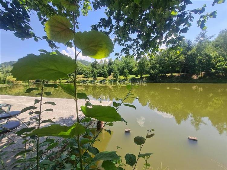 FILM! Oaza paradisiaca cu lac, vedere catre Bucegi, Glajerie/ Rasnov, pretabil C - 8