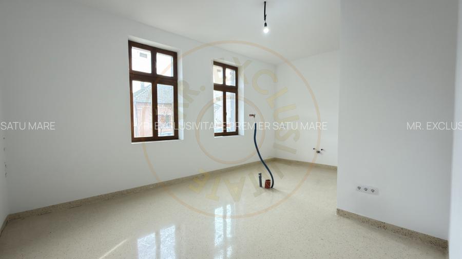 Cladire de inchiriat – ideala pentru clinica medicala sau alte afaceri - Carei - 3