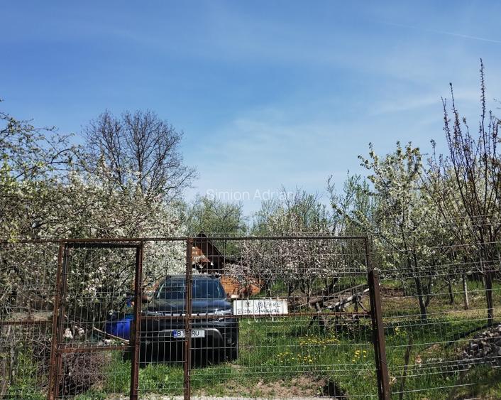 TEREN INTRAVILAN 1400 mp cu cabană și livadă, Gârbova de Sus (Aiud), zonă bună - 2