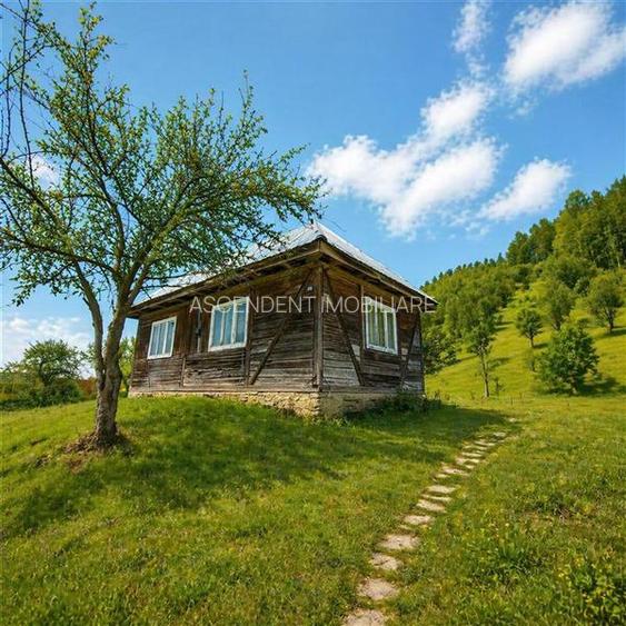 Teren la poalele padurii,Buzaiel,Vama Buzaului,DJ,constructie +utilitati,Brasov - 16