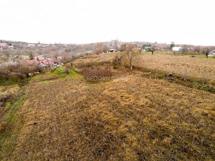 RECO, Casa cu 9168 mp teren intravilan, Sistera, Cetariu, Aproape de Oradea - 14