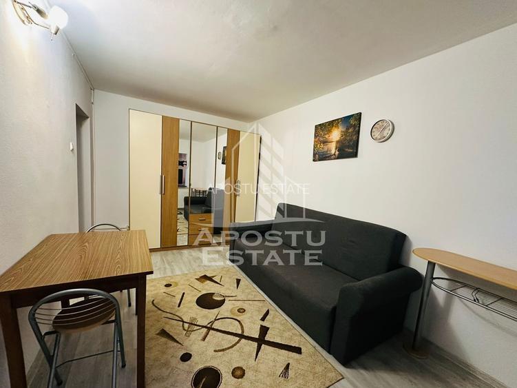 Apartament 1 camera zona Micalaca - 2
