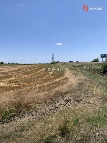 57 Hectare Teren centura cu front 485 ml pretabil parc logistic - V5480 - 3