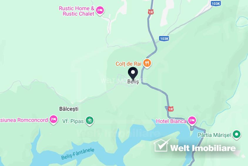 Casa tip duplex cu gradina si anexe, teren, 800 mp, Belis - 15