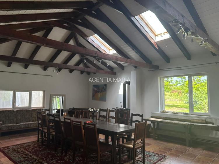 Casa Pensiune in Viile Satu Mare teren 1,63 ha, 11 camere, 10 bai - 16