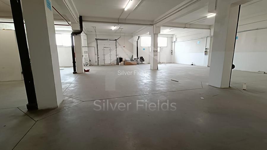 Spatiu depozitare si birouri | Zona Industriala Freidorf | Acces TIR - 12