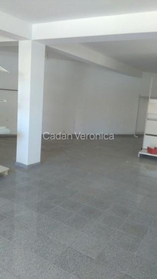 2 Case de vanzarerin Alba Iulia Centru langa Primarie 600 m2 - 10
