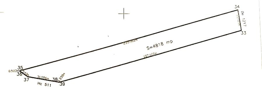 Vecin cu padurea - str. Plevnei - 7