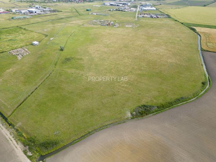 Teren intravilan de 29,970mp Sacalaz - 14