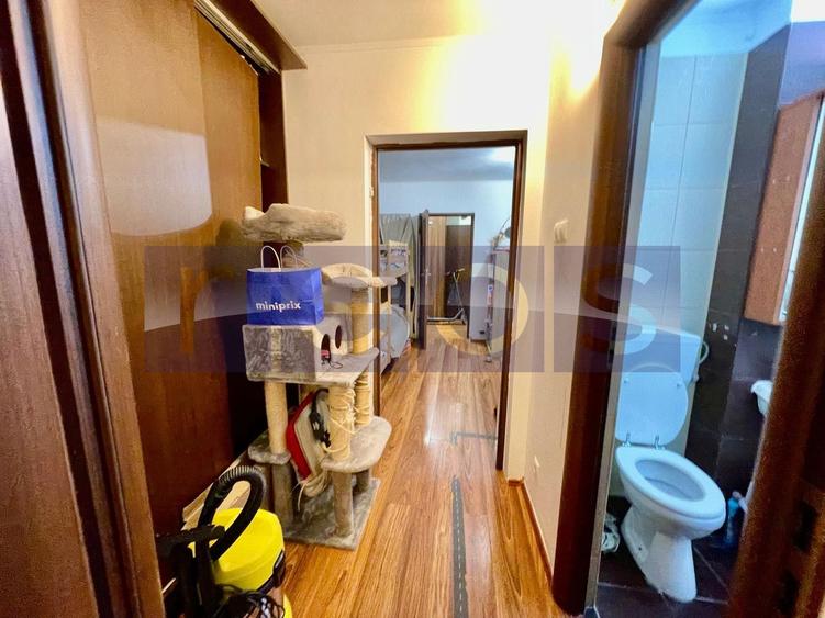 VANZARE APARTAMENT 2 CAMERE BABA NOVAC PARK LAKE DRISTOR 53MP - 10