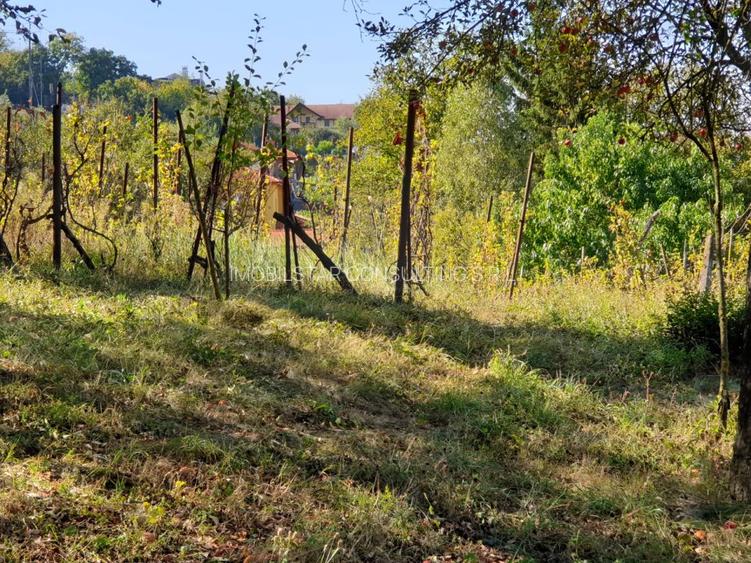 Imobilstar vinde teren unic la Platou ptr. proiect individual - 2