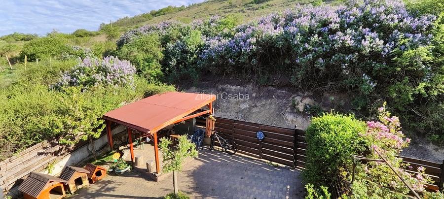 Aproape de oras și de natură  |  Parter cu acces independent | Baciu, lângă Cluj - 14