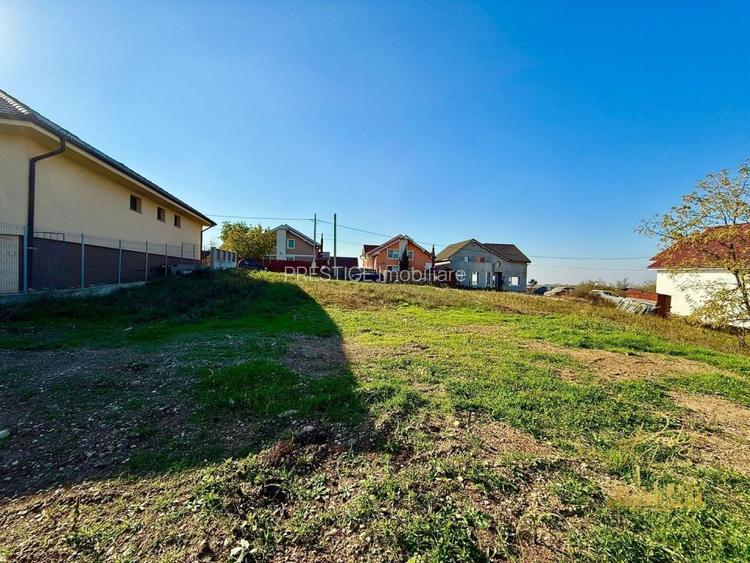 Teren Intravilan 1146 mp cu vedere panoramica de vanzare in Paleu - 4