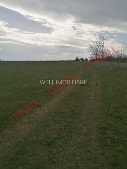 Teren intravilan de vânzare în Moacșa (Eresteghin)! - 5