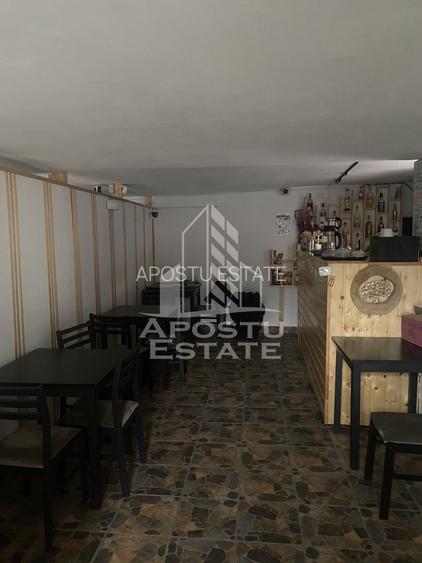 Casa unifamiliala în Timișoara,cu spațiul comercial - 18