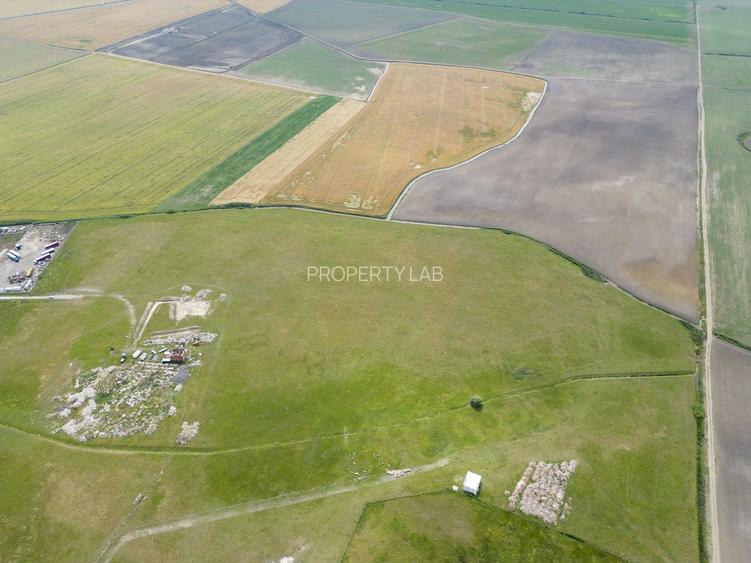 Teren intravilan de 29,970mp Sacalaz - 20