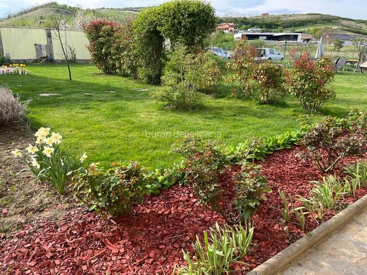 Vila de vanzare, la intrare in Paclisa - 8