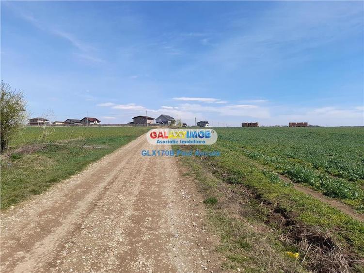 Teren Balotesti Saftica 1250 mp str Lacului cu utilitati apropiere - 2