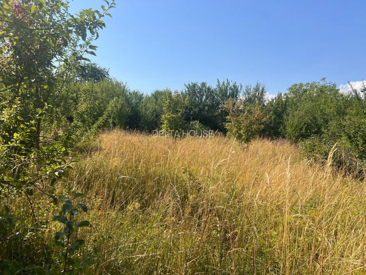 Teren cu PUZ zona strazii Macesului, ideal constructie casa - 3