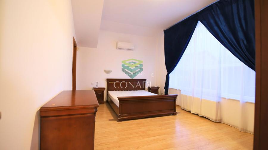 Iancu Nicolae - Vila de vanzare cu 5 camere si 1.000 Mp. de teren - 16