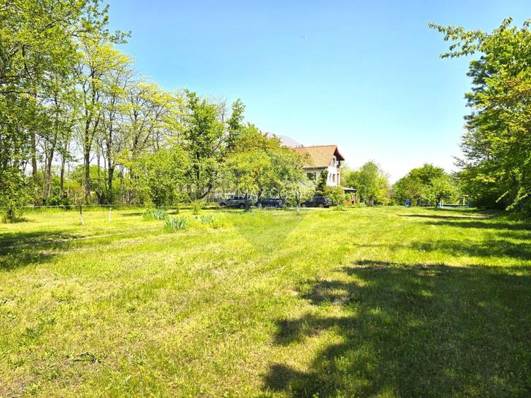 Proprietate unica, deschidere generoasa directa la lacul Snagov - 36