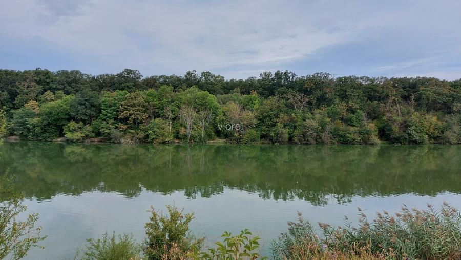 Peisaj de vis pe malul lacului Pasarea Branesti 10 min Bucuresti vand sau schimb - 7