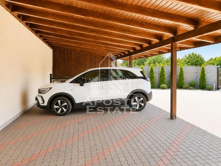 De vanzare casa individuala premium cu piscina zona Aradului Timisoara - 4