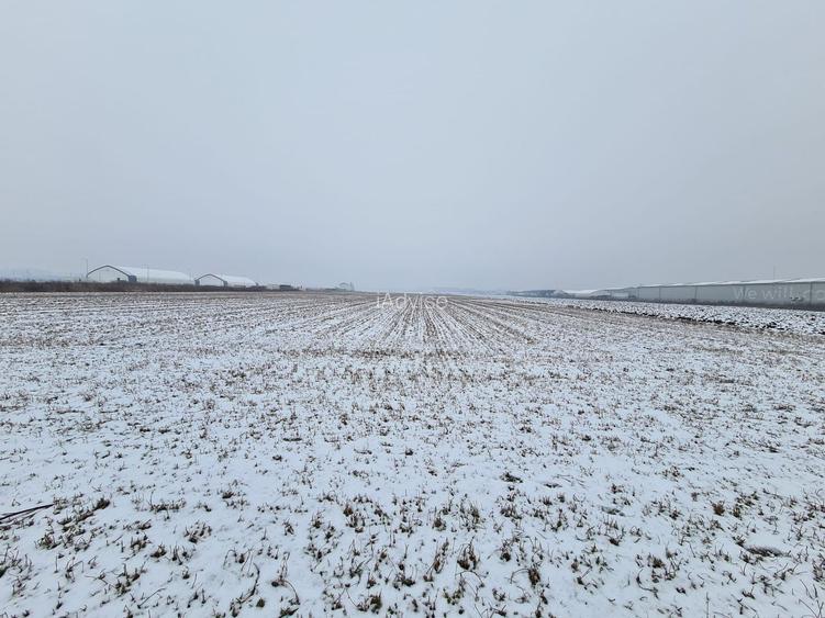 Teren industrial de vanzare in Stupini - 2