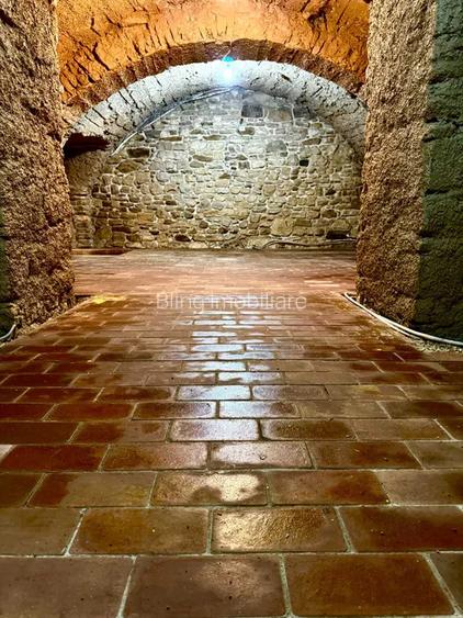 Spatiu 170 mp utili, toate utilitatile disponibile, zona Regele Ferdinand - 2