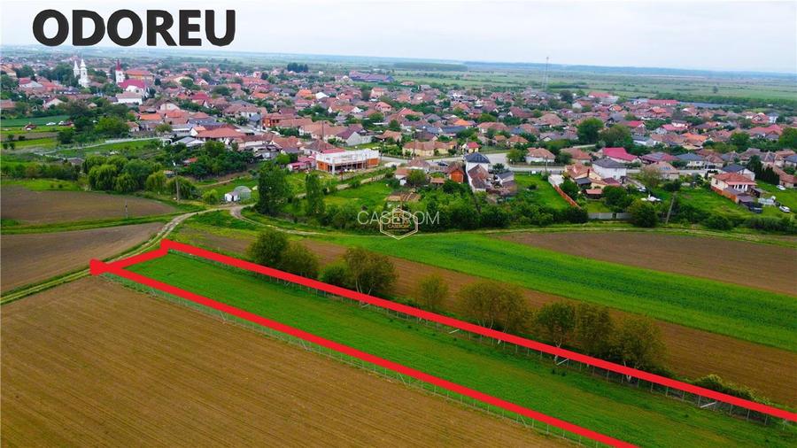 Teren 3.600 m² in Odoreu | 7 km de Satu Mare | 160 m de Principala - 6