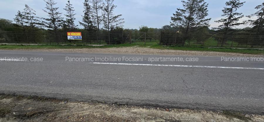 LIVADA  DE VANZARE FOCSANI-DUMBRAVITA  1,8  HA - 37