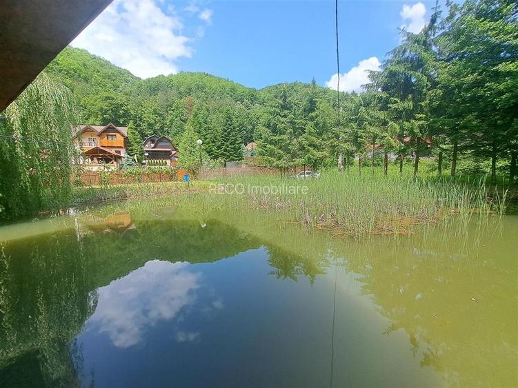 Cabana pe apa in Padurea Neagra - 19