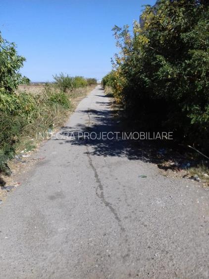 VANZARE TEREN URZICENI LA SOSEAUA DN2 POZITIE EXCELENTA - 3