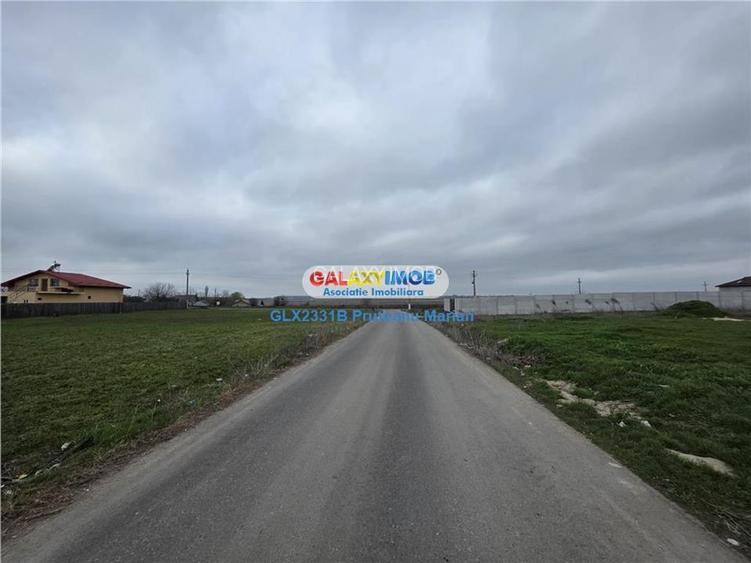 Vanzare lot de teren 1700 mp in apropriere de lac si padurea Cernica - 18