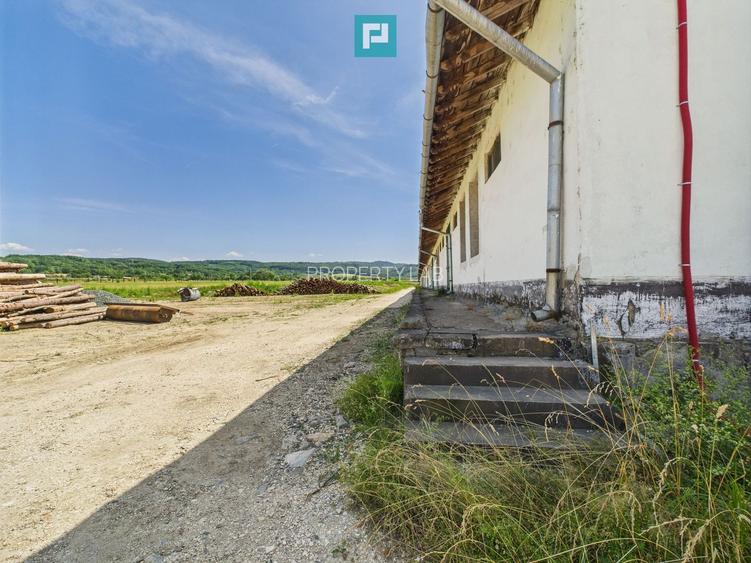 Hale 1800 mp fiecare – acces autostradă, Teiu, HD - 18