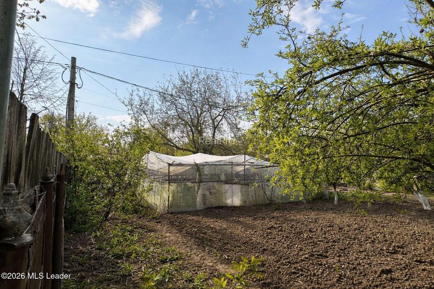 Chitila - Leroy Merlin, teren 423 mp deschidere 2 strazi - 7